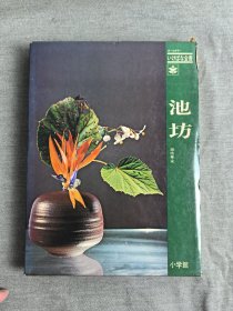 池坊 现代生花 现代立花