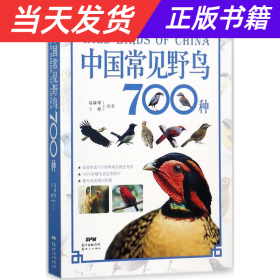 【当天发货】中国常见野鸟700种