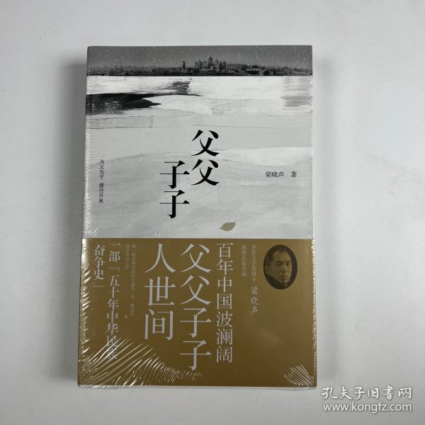 父父子子（第十届茅盾文学奖得主、电视剧《人世间》原著作者梁晓声长篇力作!）