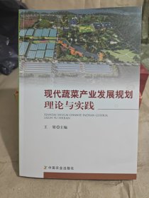 现代蔬菜产业发展规划理论与实践