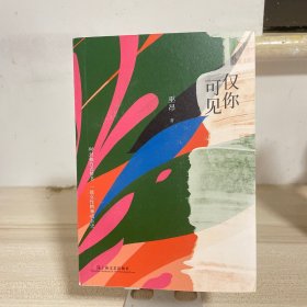 仅你可见（“挣脱所有束缚，我独自承载世界的重量” 86封独白式情书，一部女性精神成长史）