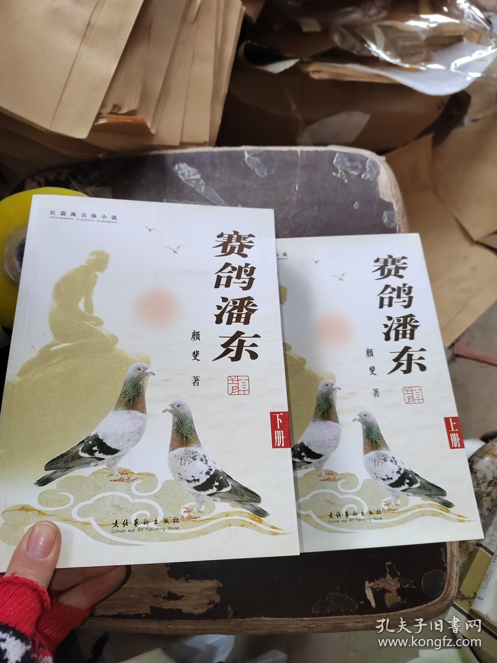 赛鸽潘东 上下