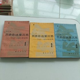 历史在这里沉思 共三卷