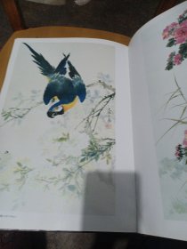 乔木花鸟画集（精装），1991年一版一印，没书衣