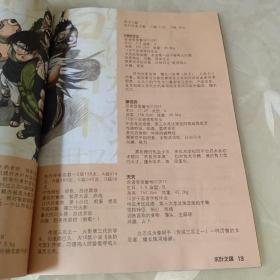 木叶之魂—火影忍者精华特典