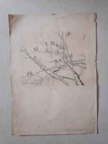 1955年人民美术出版社单行画（27.5cm*38cm)：晨曲/徐悲鸿