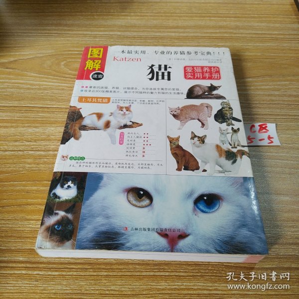 猫：爱猫养护实用手册