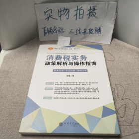 消费税实务政策解析与操作指南