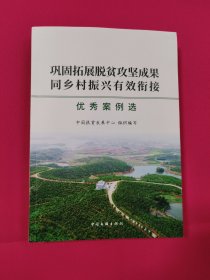 巩固拓展脱贫攻坚成果同乡村振兴有效衔接优秀案例选