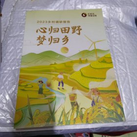 心归田野梦归乡 2023乡村调研报告 无字迹