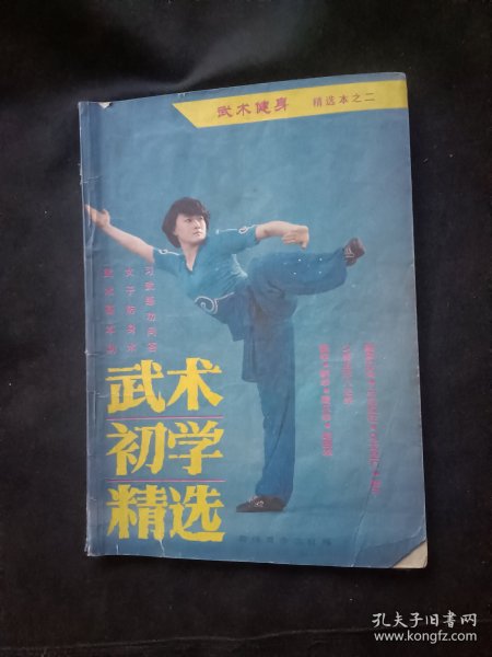 武术散打技法