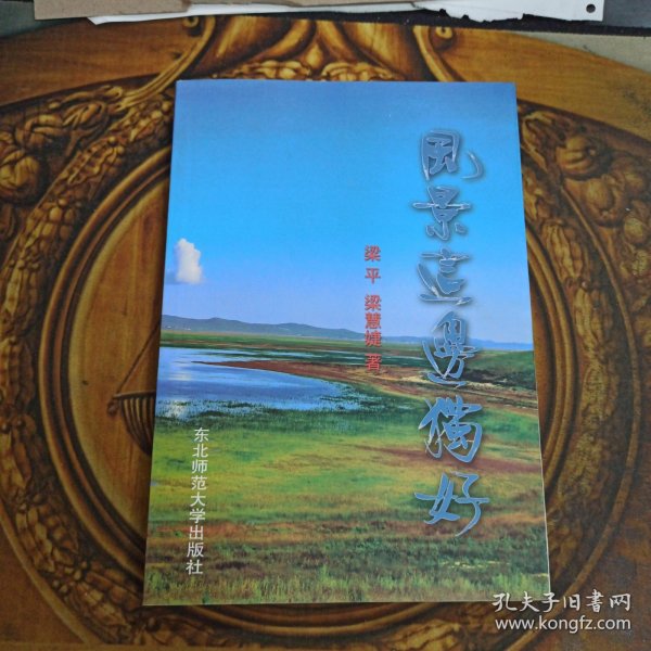 风景这边独好，正版新书未翻阅的，几乎全新