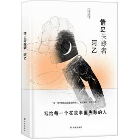 情史失踪者 中国现当代文学 阿乙 新华正版