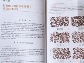 中药配方颗粒标准汤剂与质量标准研究（第二册）动物药研究、醋鳖甲配方颗粒标准汤剂与质量标准研究等内容 大16开642页