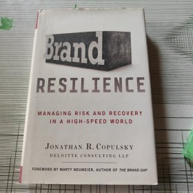 BRAND RESILIENCE :MANGING RISK AND RECOVERY IN A HIGH-SPEED WORLD