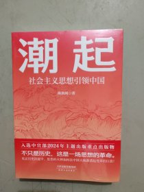 潮起: 社会主义思想引领中国