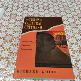 The terms of cultural criticism : the Frankfurt School, existentialism, poststructuralism