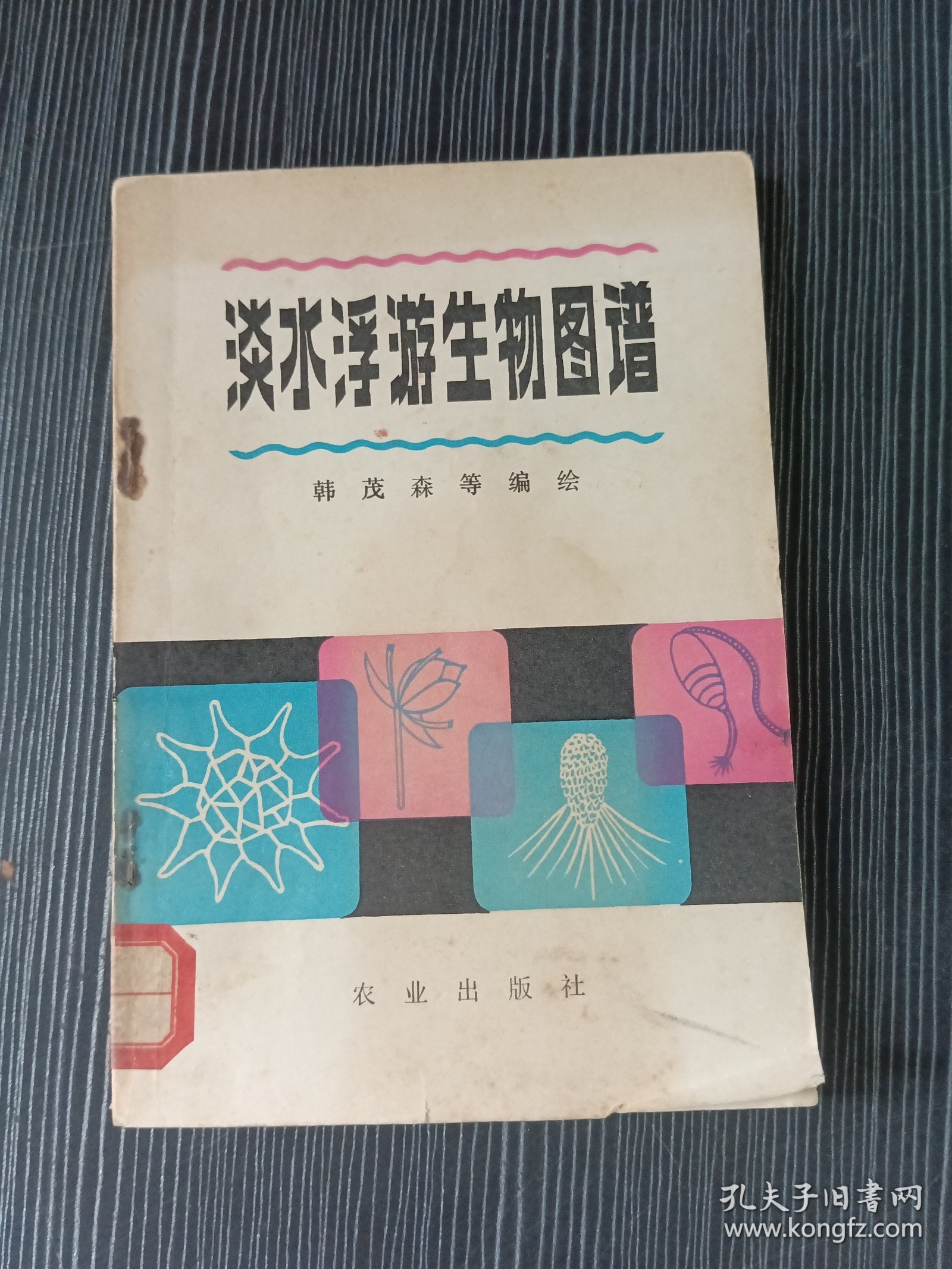 淡水浮游生物图谱
