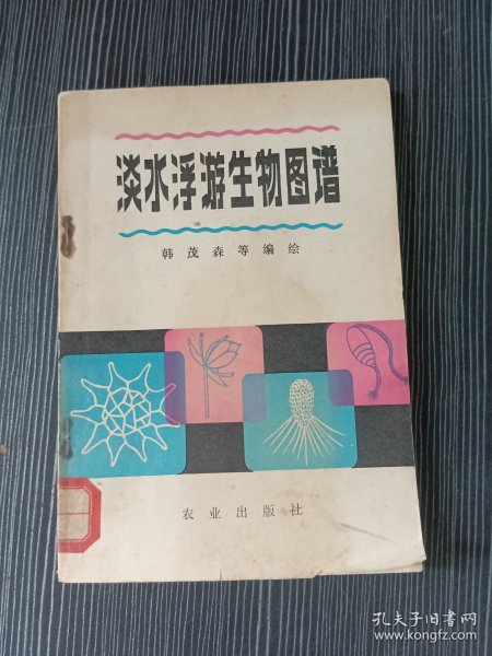 淡水浮游生物图谱