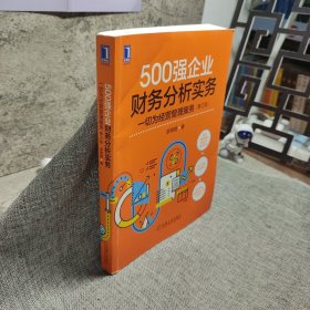 500强企业财务分析实务：一切为经营管理服务 第2版