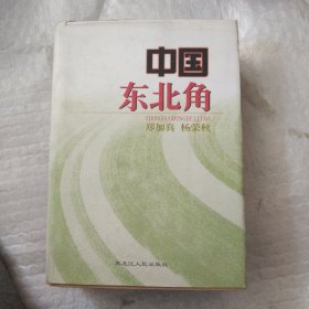 中国东北角 苏醒