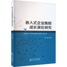【正版图书】 嵌入式企业集群成长演化研究 高勇 著 经济科学出版社 9787521852035