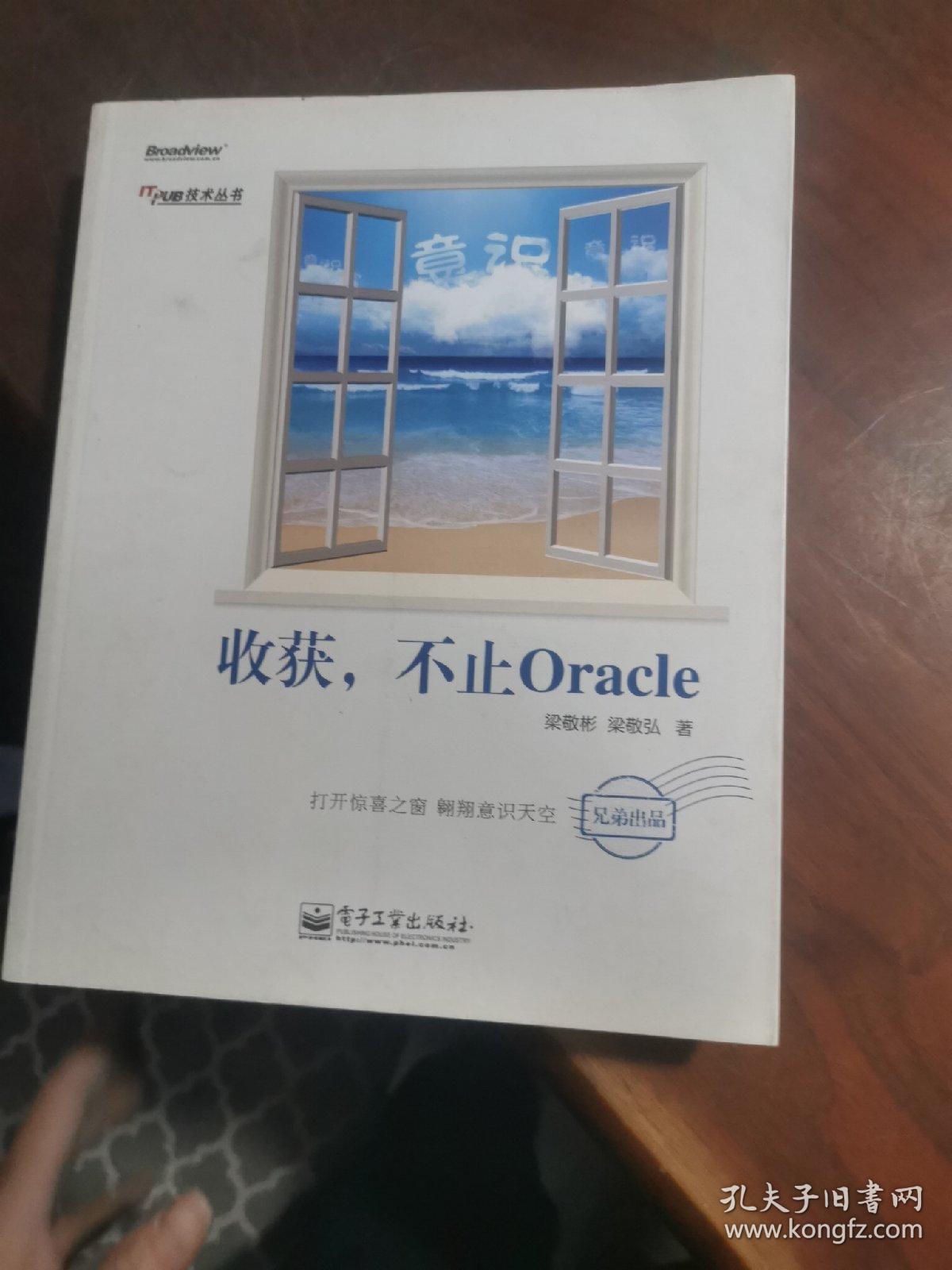 收获，不止Oracle