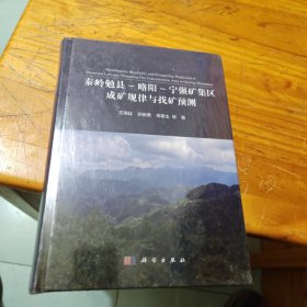 秦岭勉县-略阳-宁强矿集区成矿规律与找矿预测