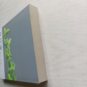 起信论讲记 第三辑