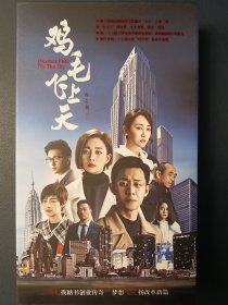 鸡毛飞上天 DVD 58集14碟片。全新无播放（网上查找，无同类），有收藏价值。孤品。