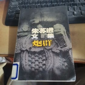 朱苏进文集·炮群