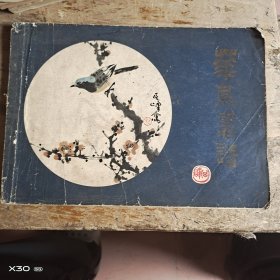 花鸟画谱
