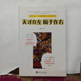 天才在左 疯子在右：国内第一本精神病人访谈手记