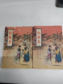 红楼梦〈中下 香港广智书局七十年代旧版〉两册