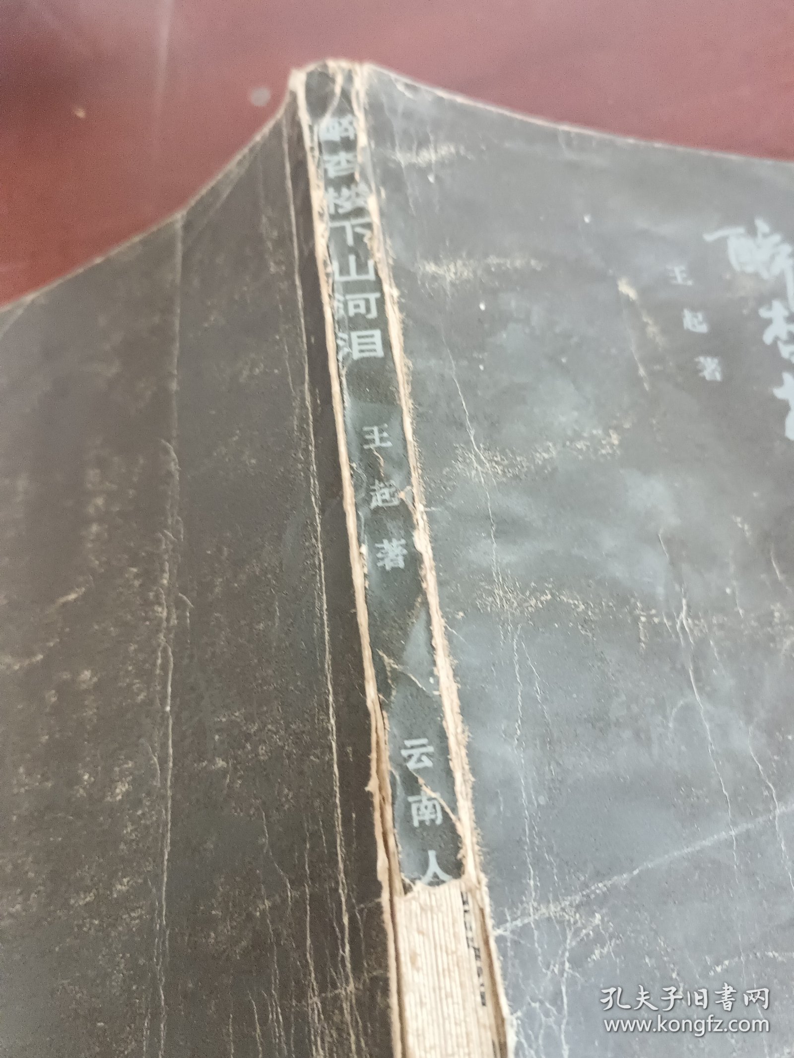 醉杏楼下山河泪