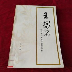 王安石（馆藏书一版一印内页干净完美品好）