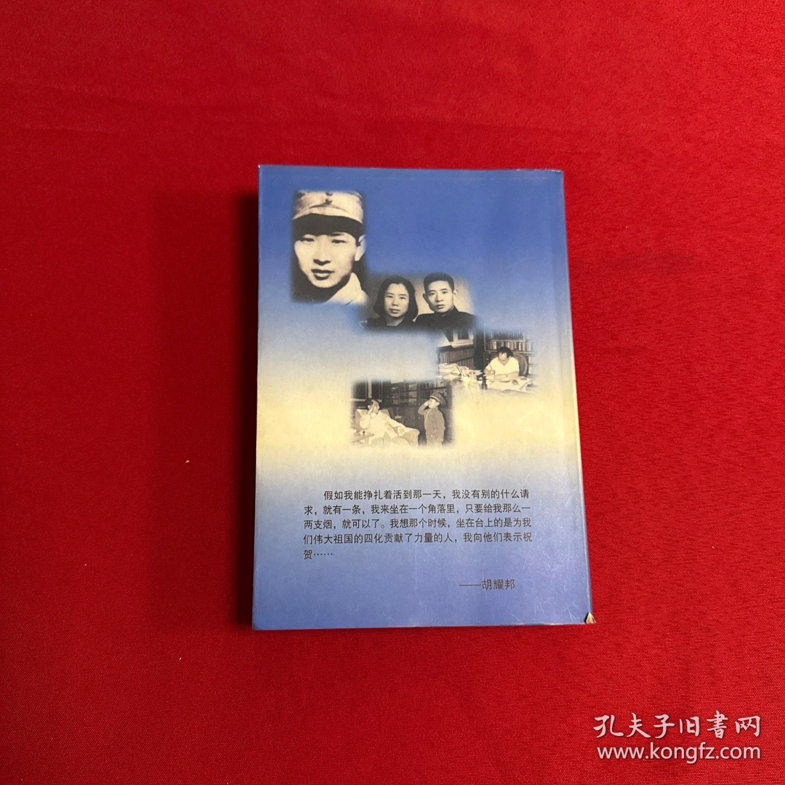 思念依然无尽：回忆父亲胡耀邦