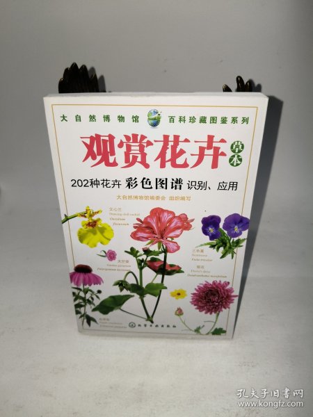 观赏花卉（草本）