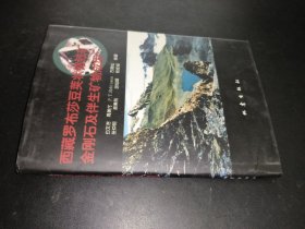 西藏罗布莎豆荚状铬铁矿、金刚石及伴生矿物成因 签赠本