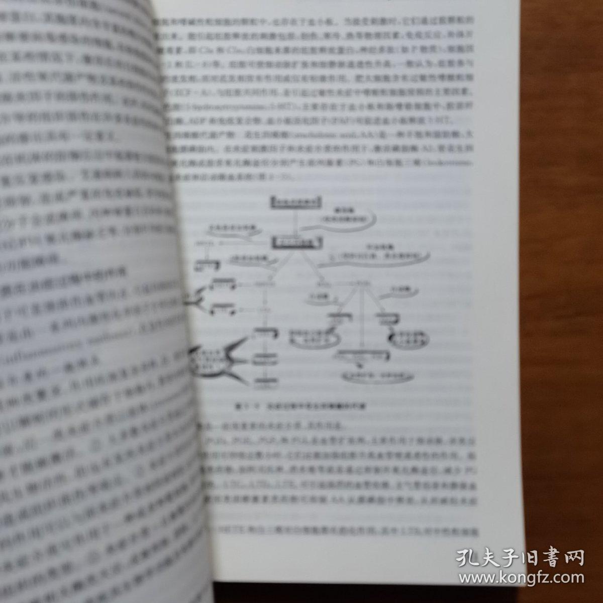 病理学（放26号位）