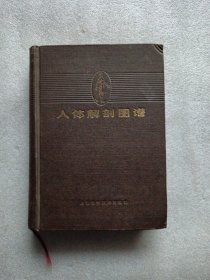 人体解剖学图谱（普及本）精装