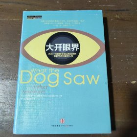 大开眼界：用另一双眼睛看透这疯狂世界、奇妙生活和美丽人生