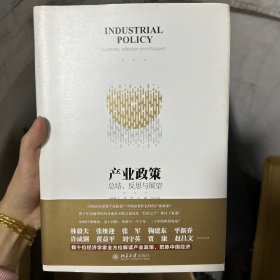 产业政策：总结、反思与展望