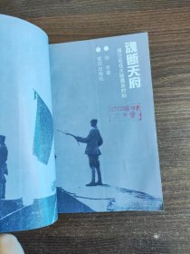 魂断天府:蒋介石在大陆最后时刻