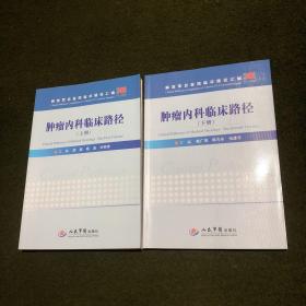 肿瘤内科临床路径（上册）/解放军总医院临床路径汇编