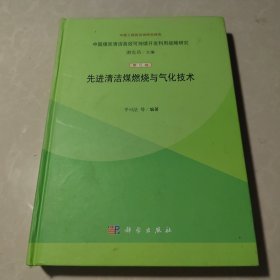 中国煤炭清洁高效可持续开发利用战略研究（第5篇）：先进清洁煤燃烧与气化技术