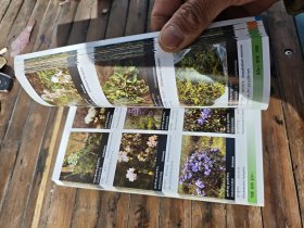 三江源生物多样性手册