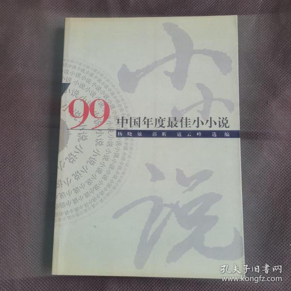 ’99中国年度最佳小小说