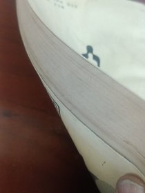 下海一中国人的突围。