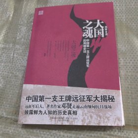 大国之魂 中国第一支王牌远征军的英雄史诗